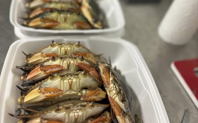 Come and get em yall!!