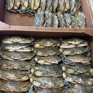 Soft Shell Crabs